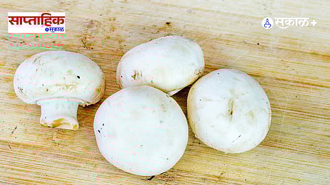 health benifit of mashroom