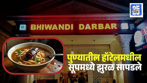 Cockroach Found in Soup