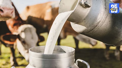 Officials uncover dairy scam involving fake livestock and spurious milk; crores in subsidy siphoned off