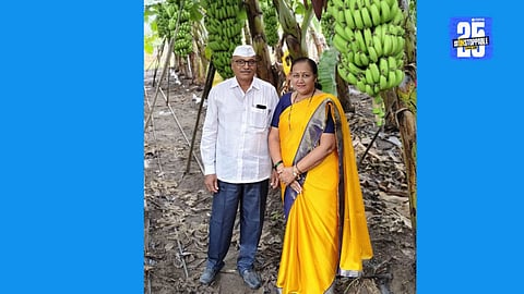 Golegaon couple nurtures a flourishing banana orchard with hard work and dedication — their sole source of livelihood and a testament to rural perseverance.