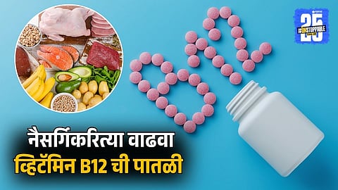 Vitamin B12 Rich Natural Food 