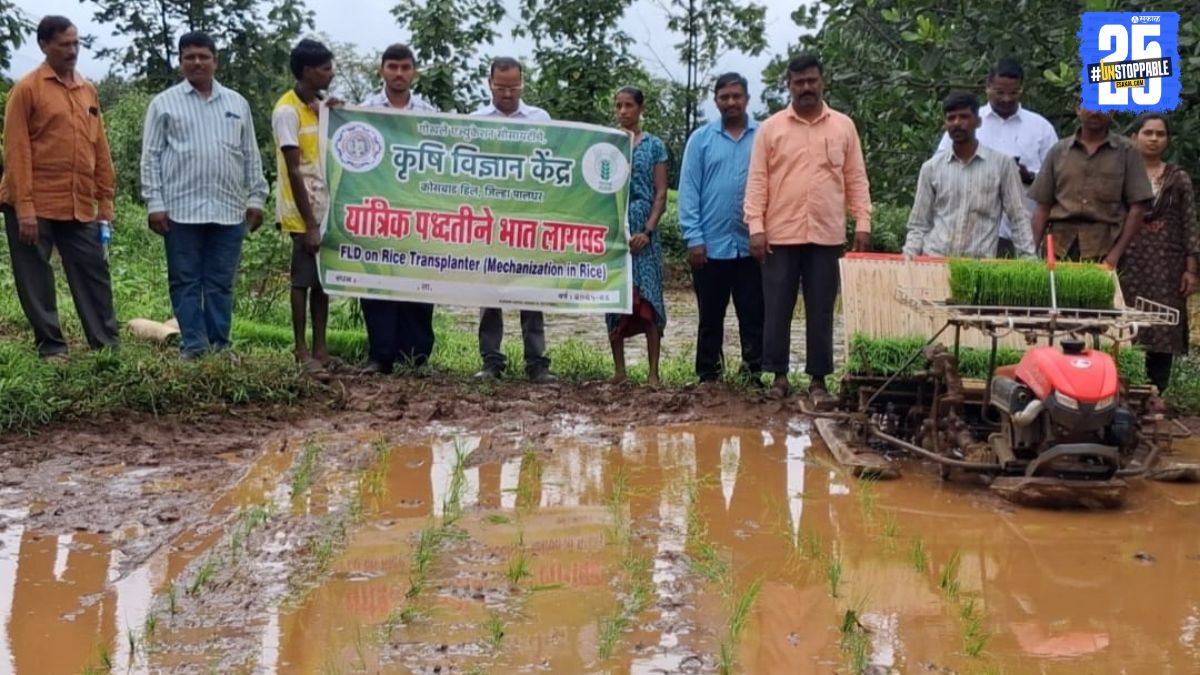 Palghar farmers shift toward mechanized paddy farming; 24-hectare rise in rice cultivation area indicates a new era of modern agriculture.