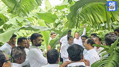 Rajendra Raut with local farmers during the banana farm visit; discussing grape cultivation with Dhanraj Shinde.