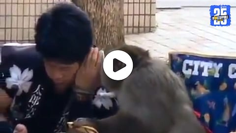 A heartwarming moment captured from the viral video where a monkey and a young man share a playful conversation, reflecting their extraordinary bond.

