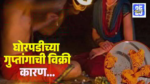 Astrologer Selling Monitor Lizard Private Part