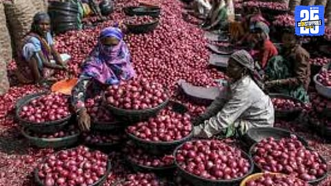 onion procurement scam