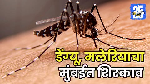 Dengue and maleria diseases