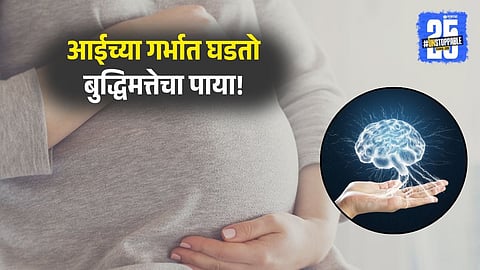 Brain Development Starts Before Birth in Mother's Womb