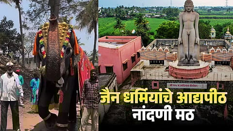 Nandani Math Elephant