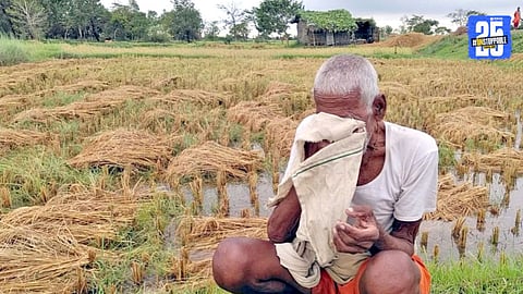A distressed farmer in Satara district walks through flood-damaged fields, awaiting reduced compensation under revised state guidelines.
