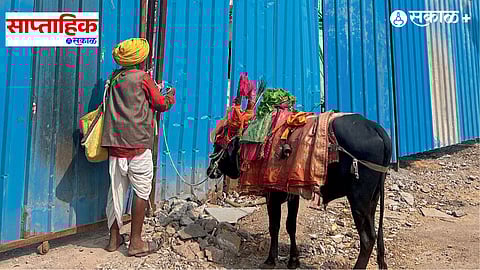 Documentary Photography