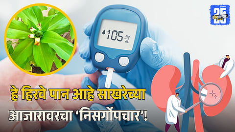 Insulin Plant For Diabetes