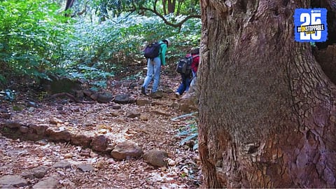 Thane Tourists Rescued