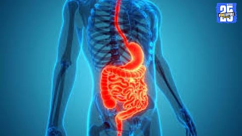 A healthy gut leads to a healthier body and mind – don’t ignore your digestion!