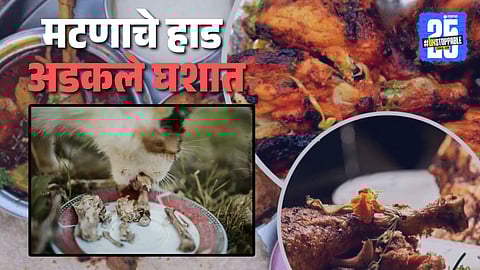 Satara News