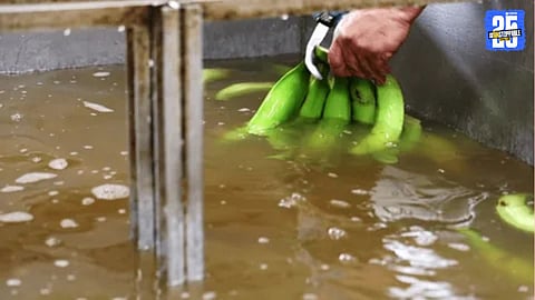 Bananas Washed in Filthy Water