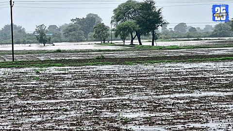 Nagpur Farmers