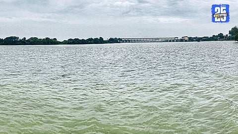 Vishnupuri Dam