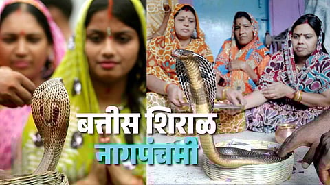 Battis Shirala Nag Panchami History