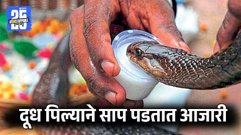 Snake Lovers Urge People to Not Feed Snakes Milk 