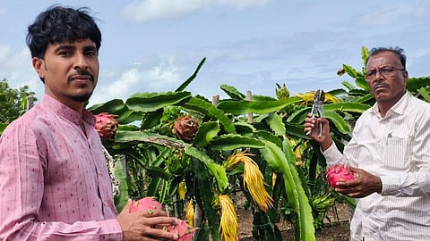 Success Story Farmer