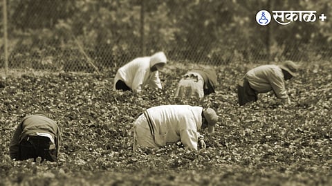 Migrant voting problem