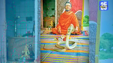 Faith or Folly? Akolekhati villagers worship a live cobra during Nagpanchami, flouting forest department norms; video sparks debate online.