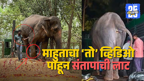 Mahadavi Elephant Viral Video