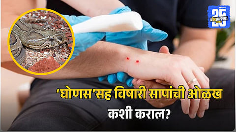 Snakebite Deaths Solapur