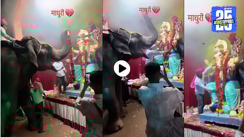 Mahadevi Elephant Viral Video