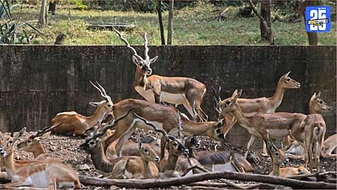 Katraj Zoo