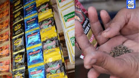 FDA officers in Barshi displaying seized gutkha packets worth ₹1.5 lakh during the raid.