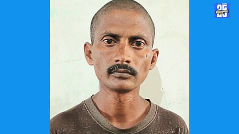 Court sentences accused to life imprisonment in brutal murder of elderly woman using stone as weapon."