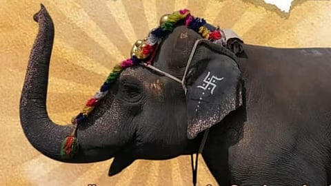 Mahadevi Elephant Latest Update