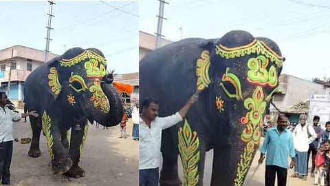 Elephants Padma Menaka Dhruv