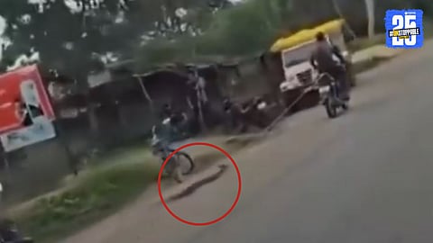 A shocking image of a man dragging a live python tied to his motorcycle in Chhattisgarh, sparking national outrage and demands for action from wildlife authorities.