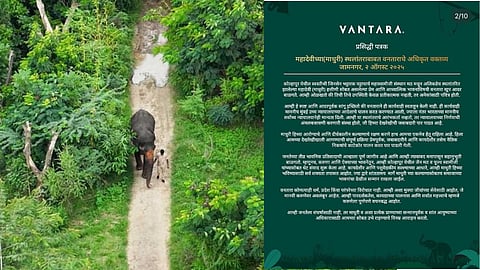 Elephant Vantara Letter