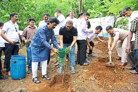 जीवदानी मंदिर डोंगर परिसरात वृक्षारोपण