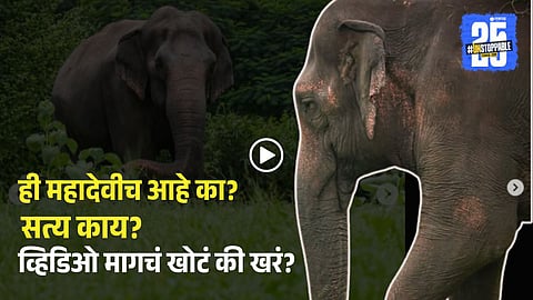 An elephant gently lifts a child with its trunk—this heartwarming moment, though viral, is not from Kolhapur's Mahadevi but from a foreign location.