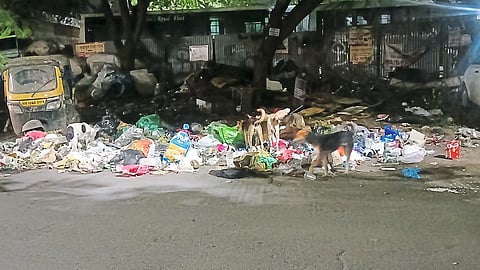 कचऱ्याचे दैनंदिन व्यवस्थापनच ‘कचऱ्यात’