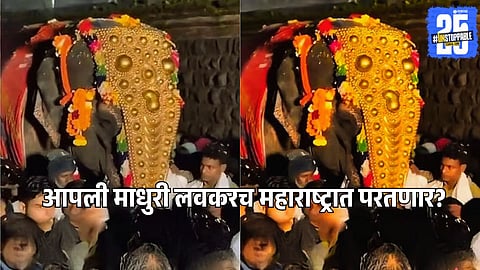 Mahadevi elephant Kolhapur people protest for elephant Vantara return Dhairyashil Mane reaction