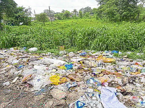 धसई गाव कचऱ्याच्या दुर्गंधीने त्रस्त