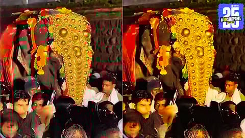 mahadevi elephant supreme court