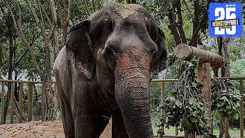 Mahadevi Elephant