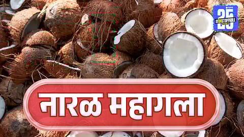 Coconut Price Hike