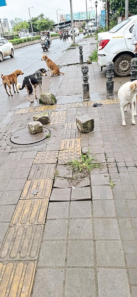 संवाद माझा