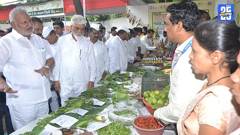 Vegetables Festival