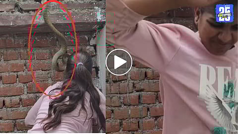 Snake Attack Woman Face Terrifying Viral Video