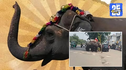 Video Viral : गुजरातमध्ये हत्तीवर अन्याय! व्हिडीओ व्हायरल; 'महादेवी'प्रमाणे पेटा लक्ष घालणार का?