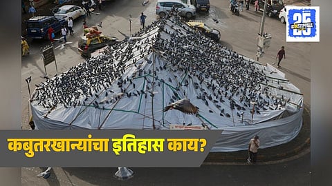 kabutar Khana History